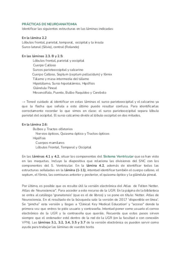Miniatura del documento PRACTICAS-DE-NEUROANATOMIA-laminas.pdf