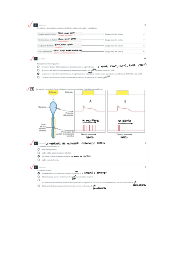 Miniatura del documento PARCIALES-FISIOLOGIA.pdf
