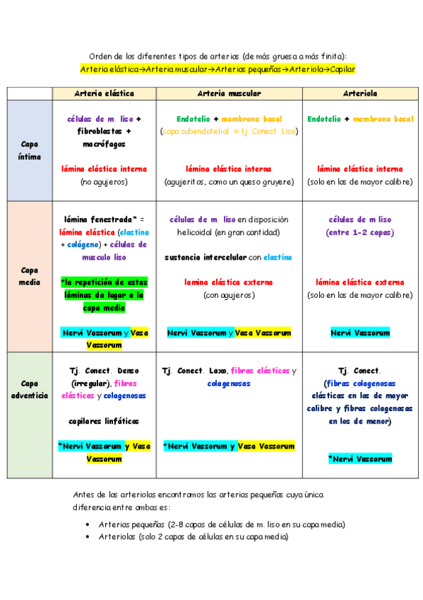 Miniatura del documento Resumen arterias