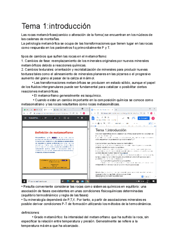 Miniatura del documento Resumen-meta.pdf