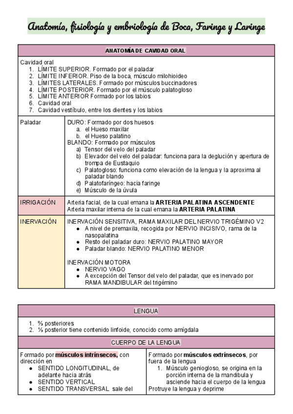 Miniatura del documento Apuntes-de-Boca-Faringe-y-Laringe.pdf