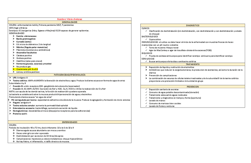 Miniatura del documento APUNTES-BACTERIAS-HONGO-Y-PARASITOS.pdf