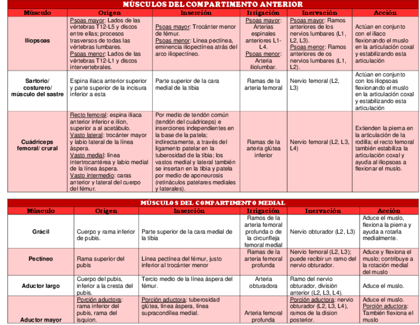 Miniatura del documento MUSCULOS-DEL-MIEMBRO-INFERIOR.pdf