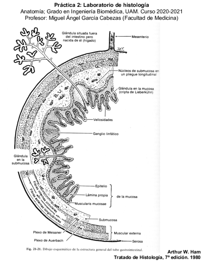 Miniatura del documento Examen-Practico.pdf