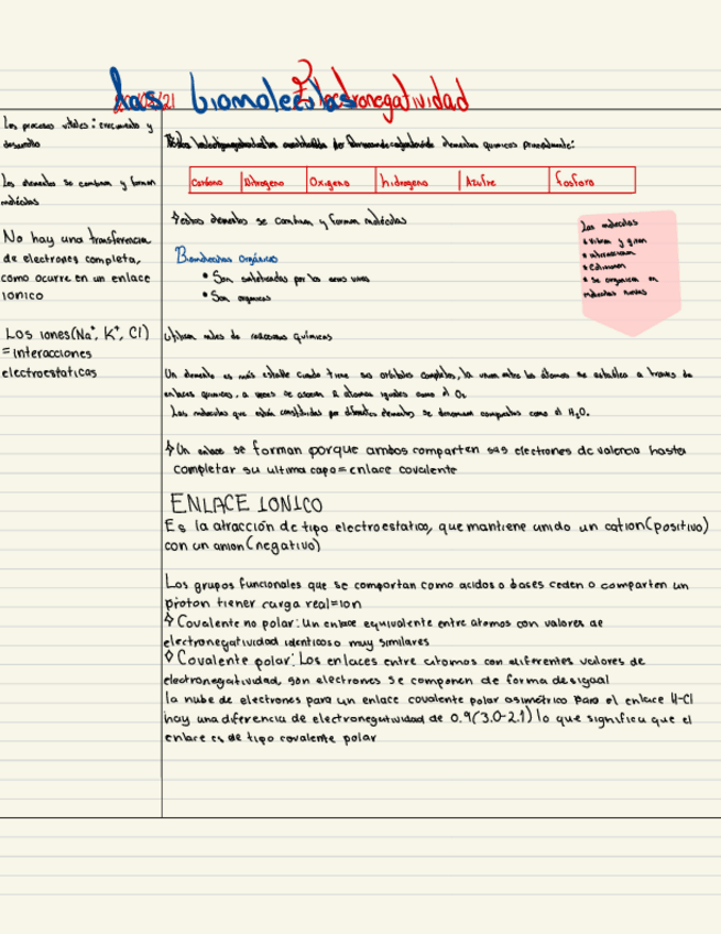 Miniatura del documento Bases-De-Bioquimica-.pdf
