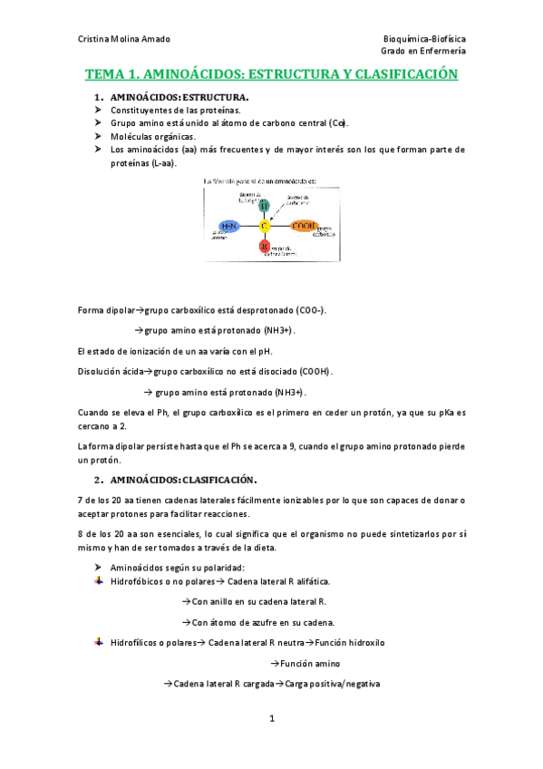 Miniatura del documento TEMA-1.pdf
