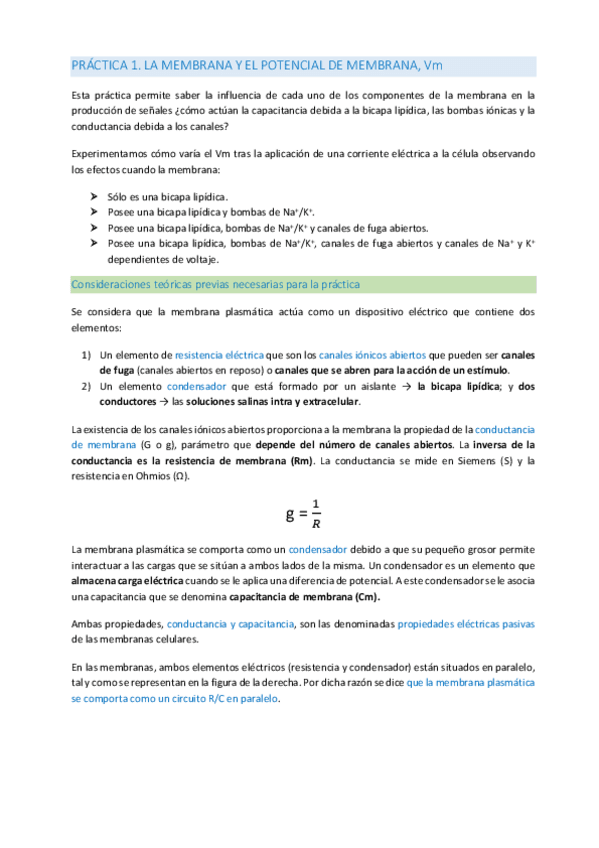 Miniatura del documento PRACTICA-1.pdf