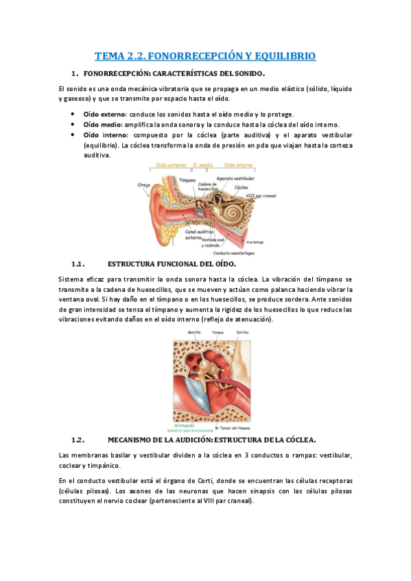 Miniatura del documento TEMA-2E.pdf