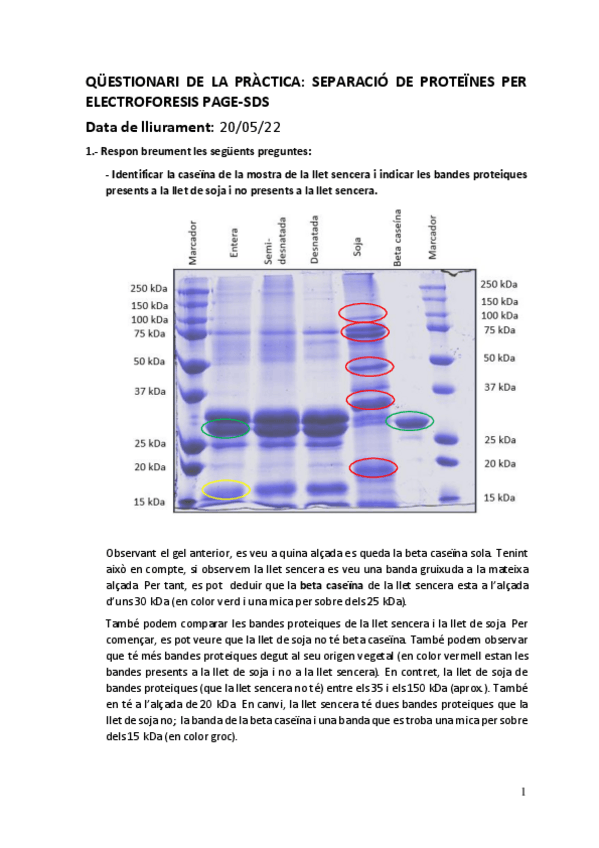 Miniatura del documento practica-3.pdf