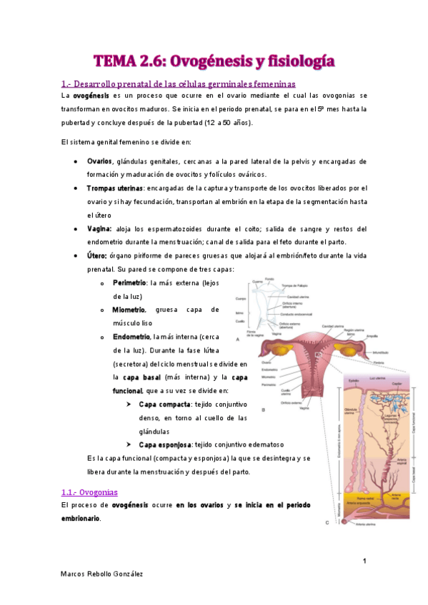Miniatura del documento TEMA-2.pdf