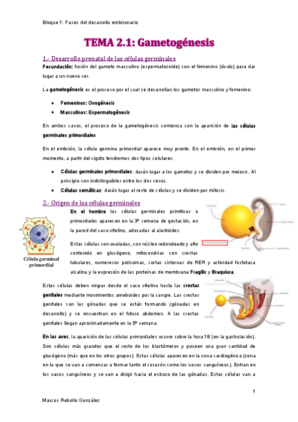 Miniatura del documento TEMA-2.pdf