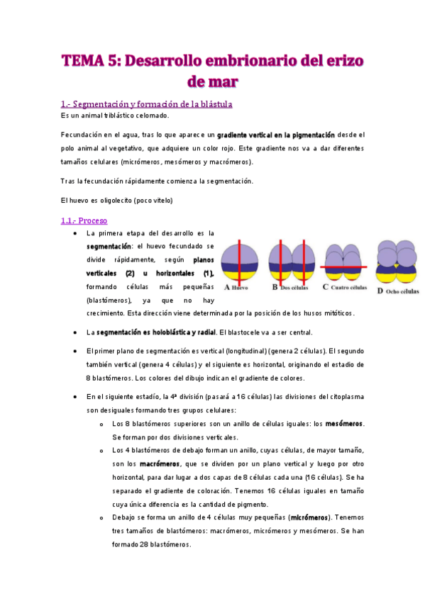Miniatura del documento TEMA-5.pdf