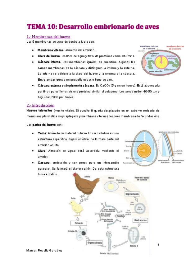 Miniatura del documento TEMA-10.pdf