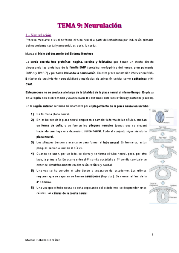 Miniatura del documento TEMA-9.pdf
