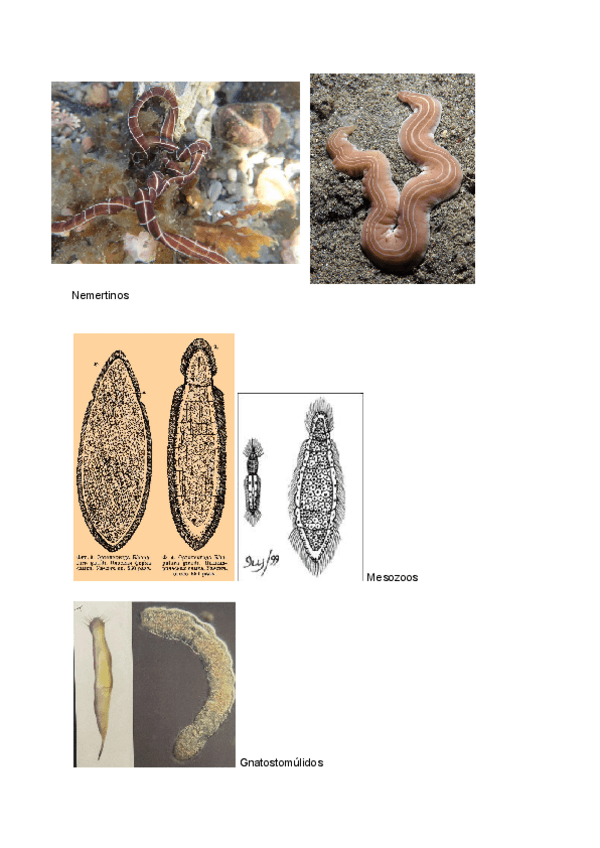 Miniatura del documento talleres-con-foto.pdf