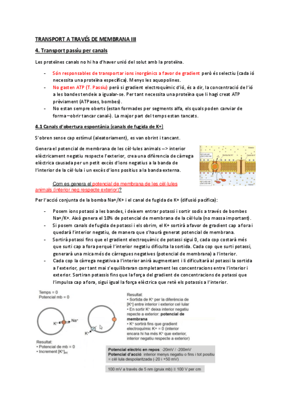 Miniatura del documento T3TRANSPORT-MEMBRANA.pdf