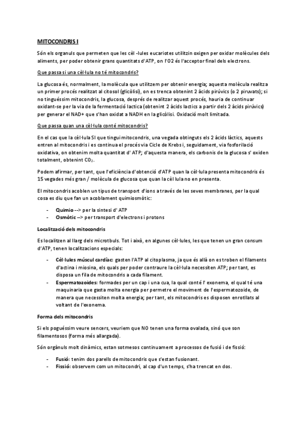 Miniatura del documento T7MITOCONDRIS.pdf