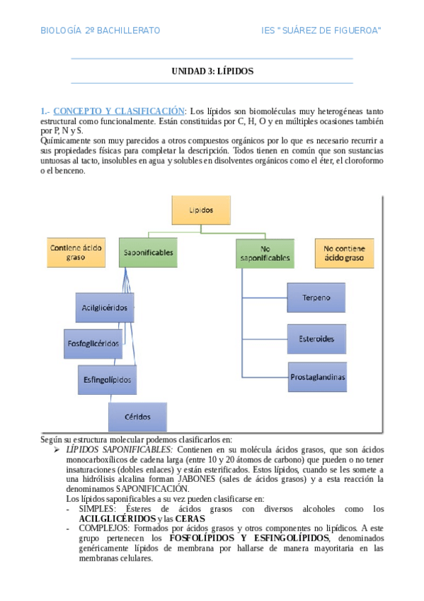Miniatura del documento Lipidos.pdf