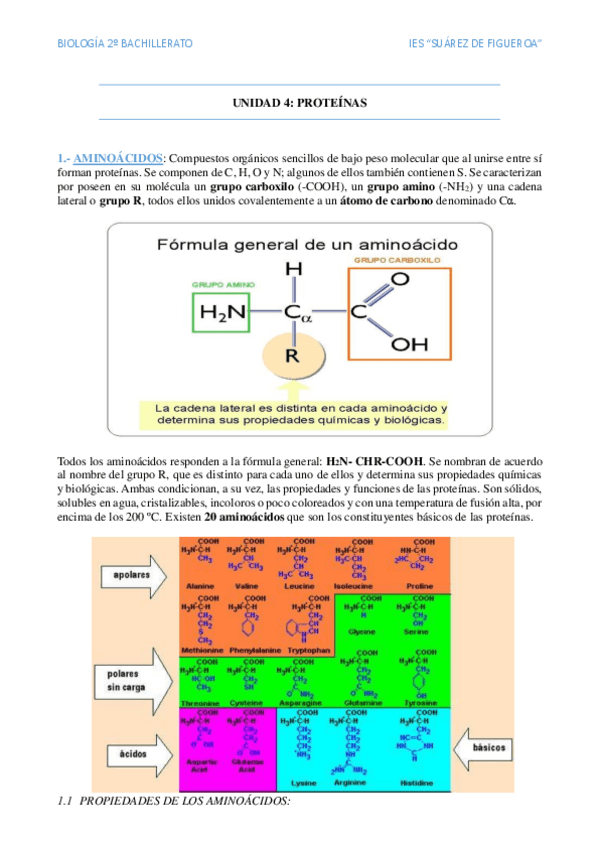 Miniatura del documento Proteinas.pdf