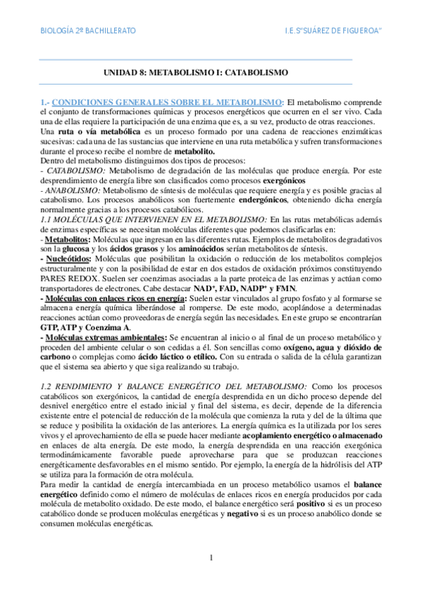 Miniatura del documento Catabolismo.pdf