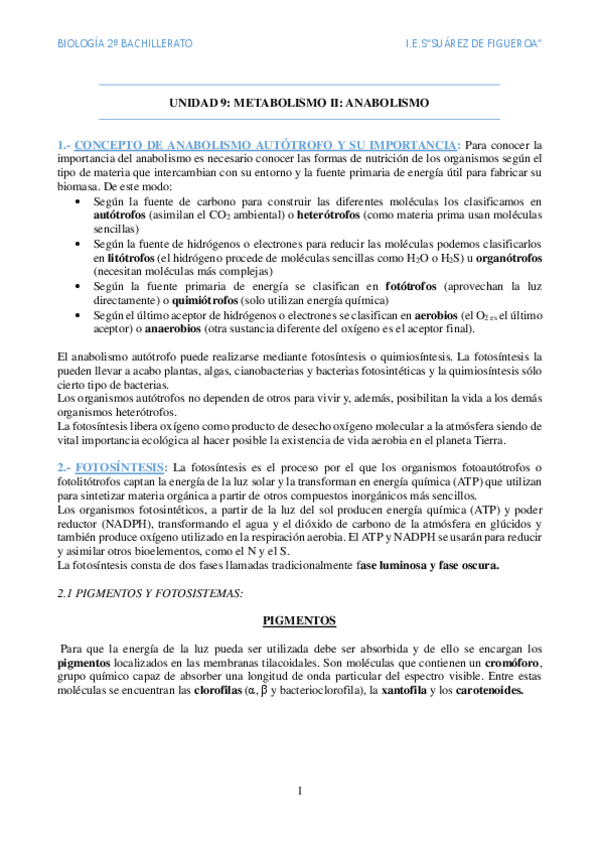 Miniatura del documento Anabolismo.pdf