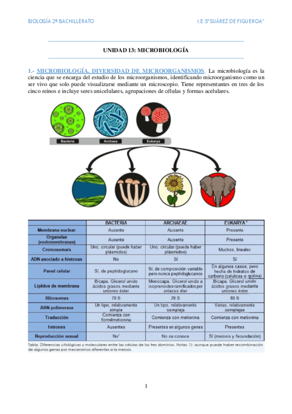 Miniatura del documento Microbiologia.pdf