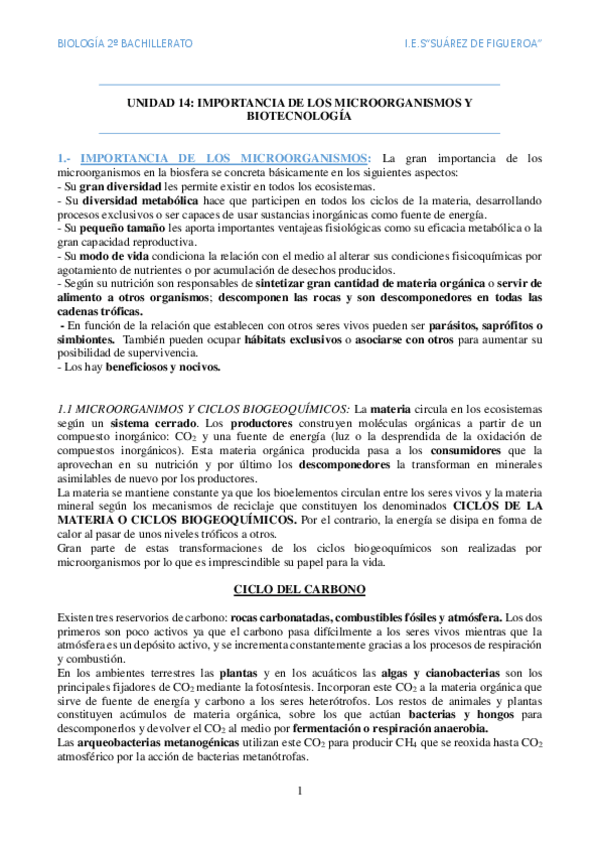 Miniatura del documento Importancia-de-los-microorganismos-y-biotecnologia.pdf