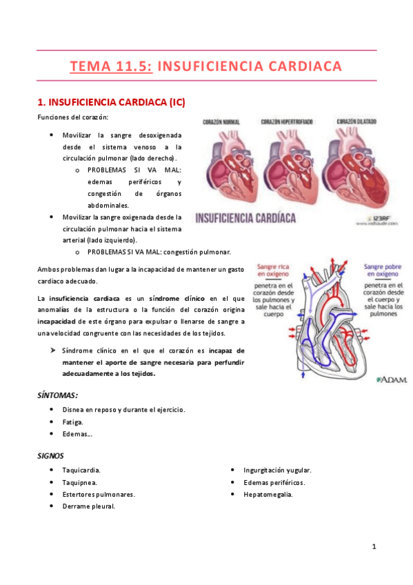 Miniatura del documento TEMA-11.pdf
