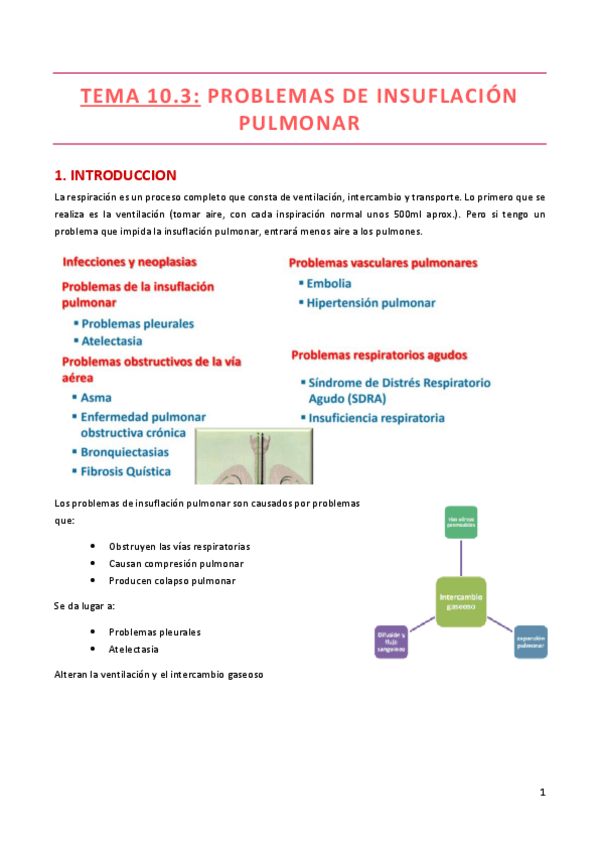 Miniatura del documento TEMA-10.pdf