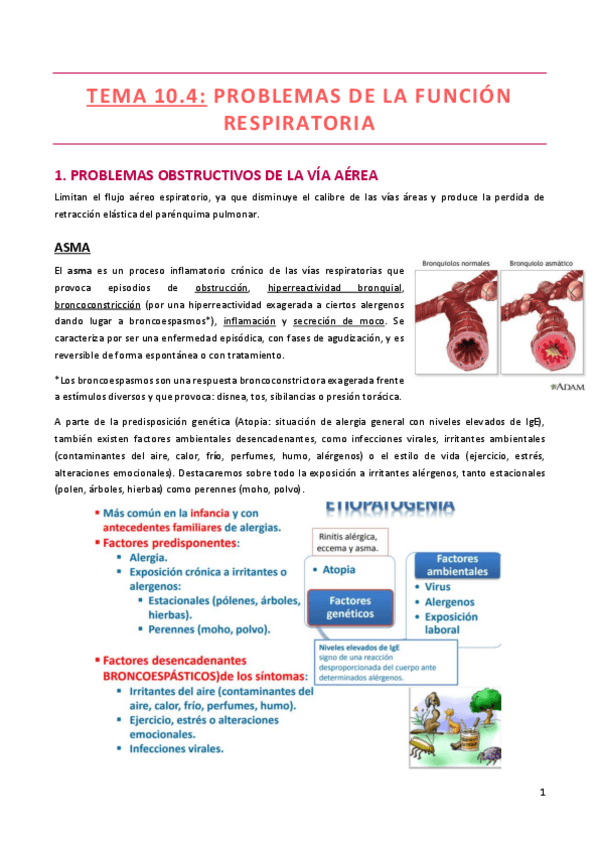 Miniatura del documento TEMA-10.pdf