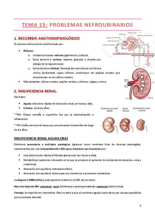 Miniatura del documento TEMA-15.pdf