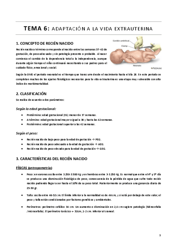 Miniatura del documento TEMA-6.pdf