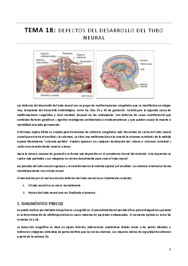 Miniatura del documento TEMA-18.pdf