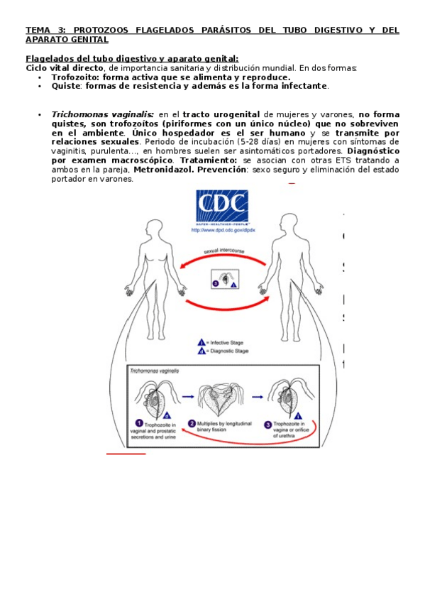 Miniatura del documento TEMA-3-parasito.docx