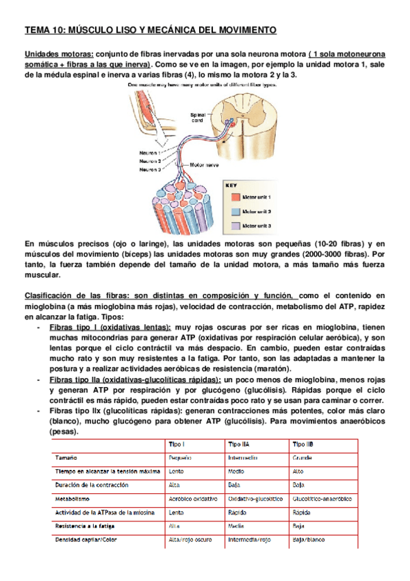 Miniatura del documento TEMA-10-FISIO.docx