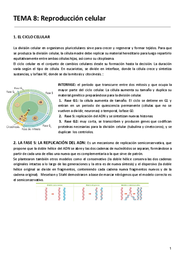 Miniatura del documento TEMA-8-Reproduccion-celular-1.pdf
