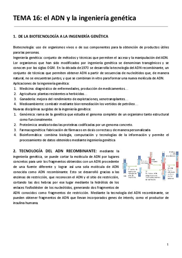 Miniatura del documento TEMA-16-el-ADN-y-la-ingenieria.pdf