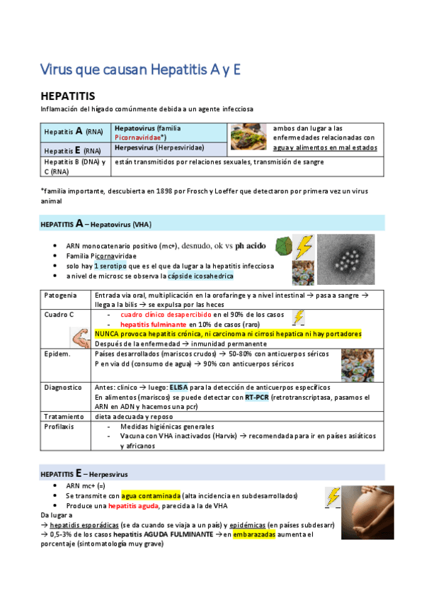 Miniatura del documento Virus-MAL.pdf