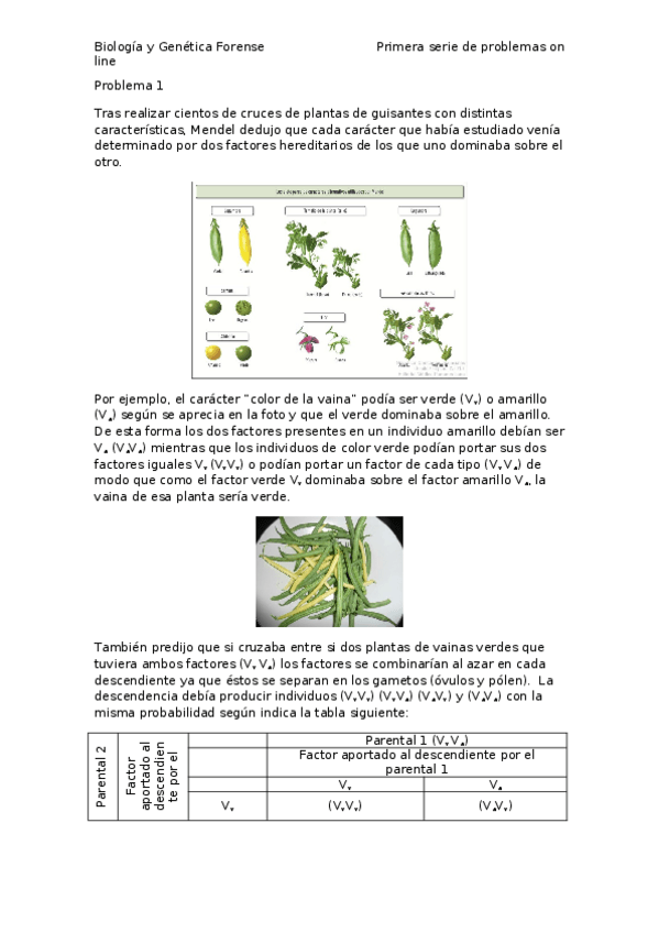 Miniatura del documento Primera-serie-de-problemas-on-line1718.docx