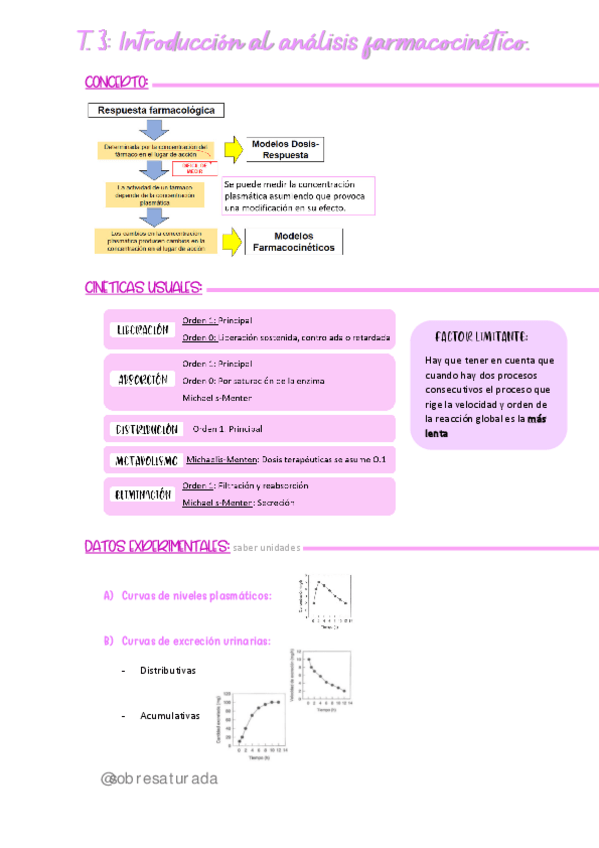 Miniatura del documento t.3