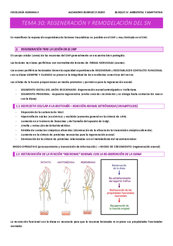 Miniatura del documento Bloque-IV-fisiologia-II.pdf