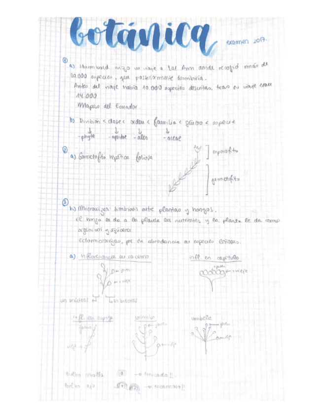 Miniatura del documento examen-2017.pdf