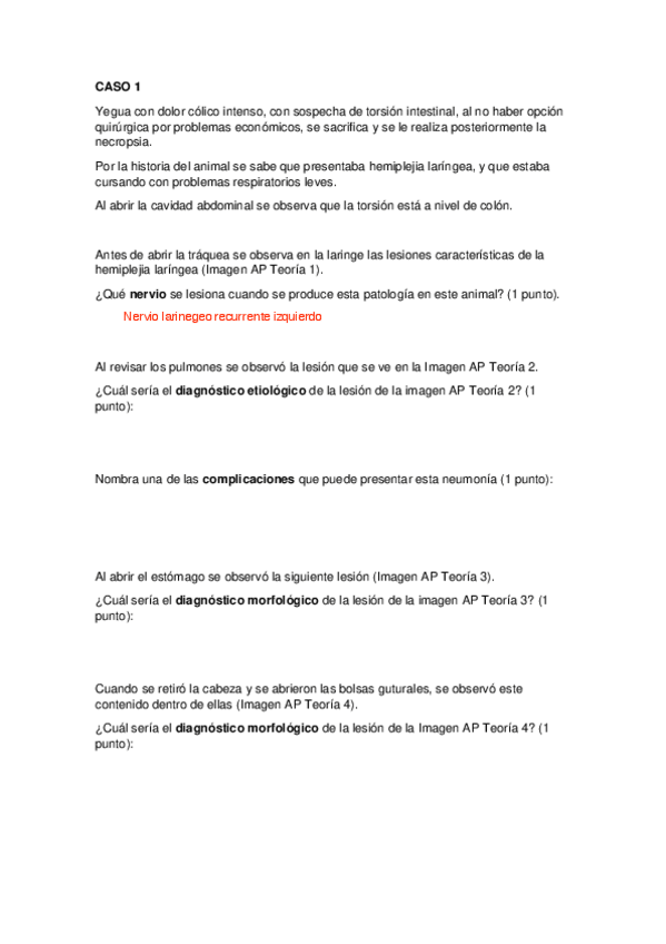 Miniatura del documento EXAMEN-TEORICO-ENERO-21-22.pdf