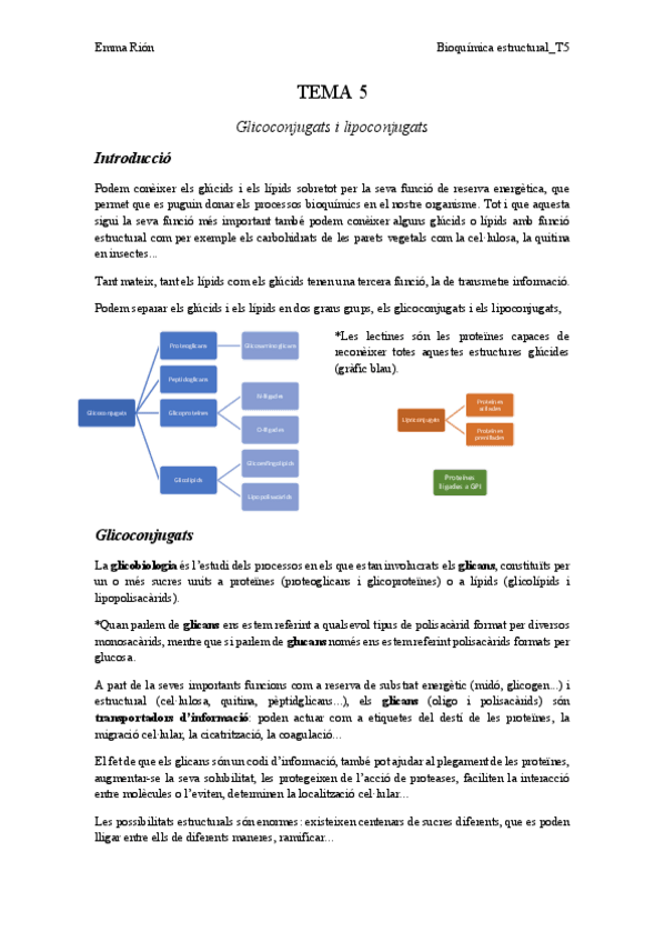 Miniatura del documento TEMA-5.pdf