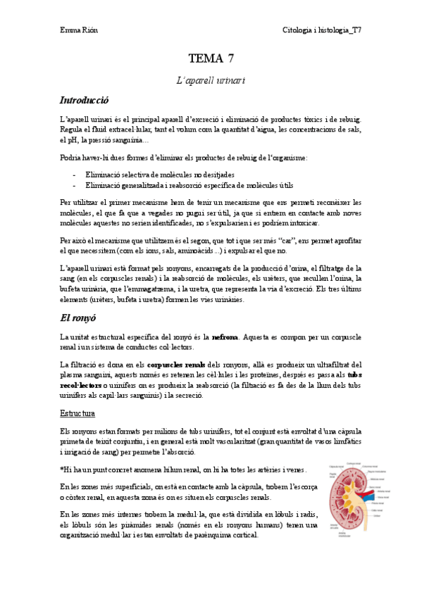 Miniatura del documento TEMA-7-animal.pdf