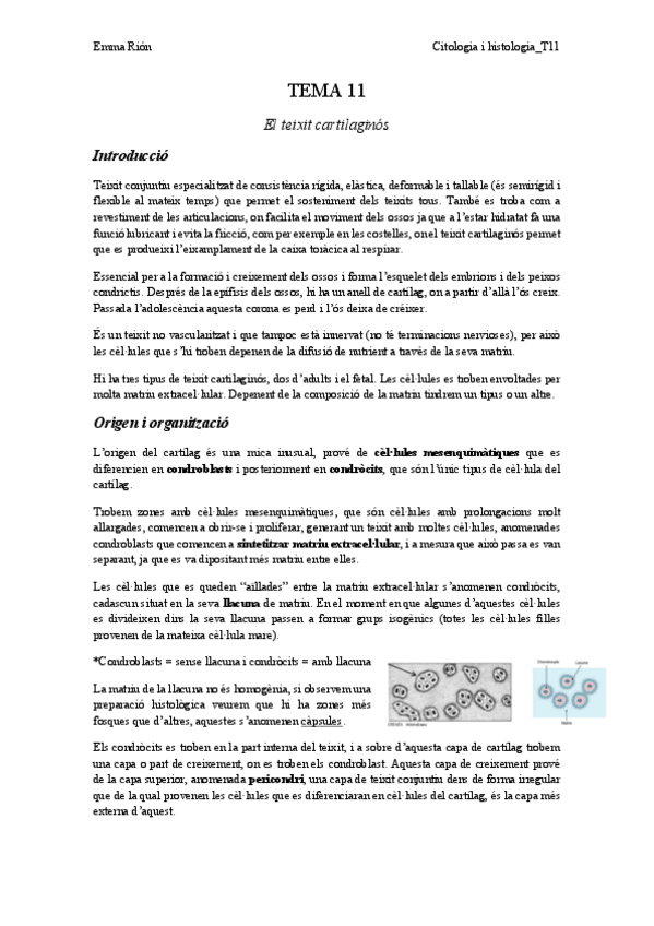 Miniatura del documento TEMA-11-animal.pdf