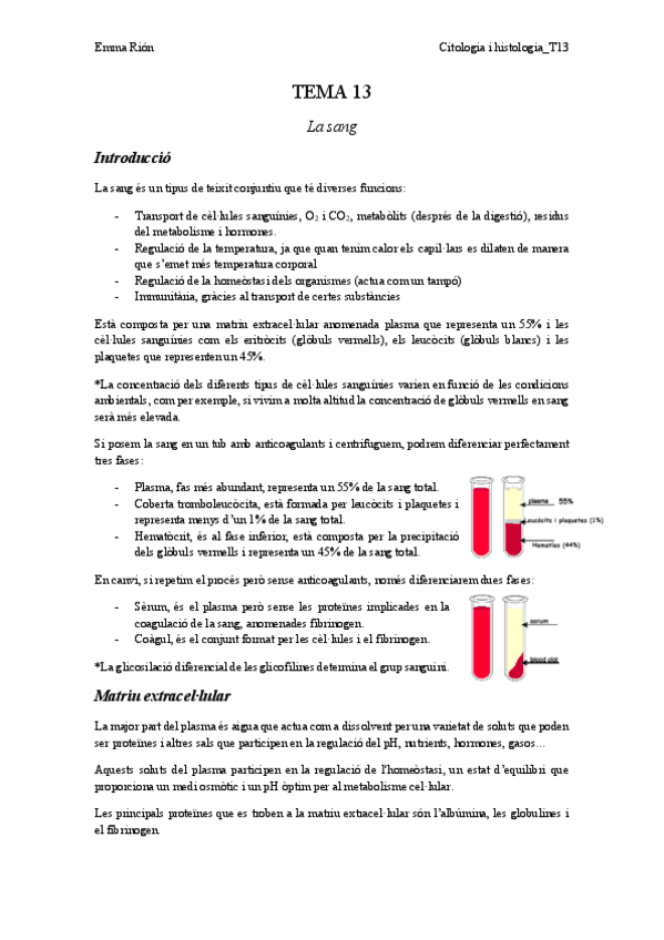 Miniatura del documento TEMA-13-animal.pdf