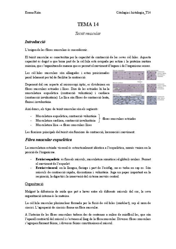 Miniatura del documento TEMA-14-animal.pdf