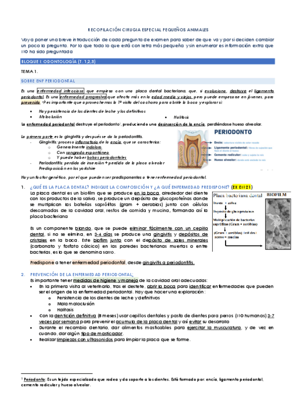 Miniatura del documento RECOPILACION-CIRUGIA-ESPECIAL-PEQUENOS-ANIMALES.pdf