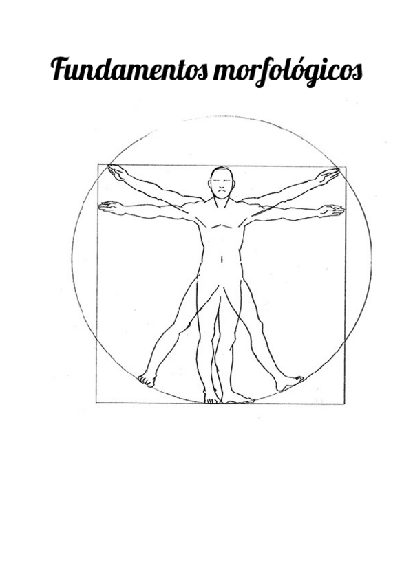 Miniatura del documento Morfologicos.pdf